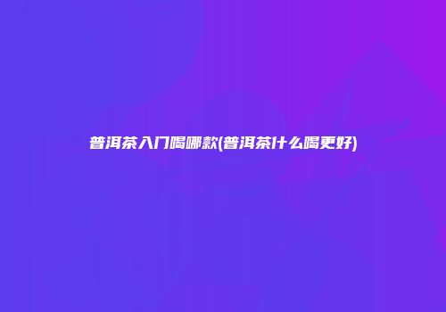 普洱茶入门喝哪款(普洱茶什么喝更好)