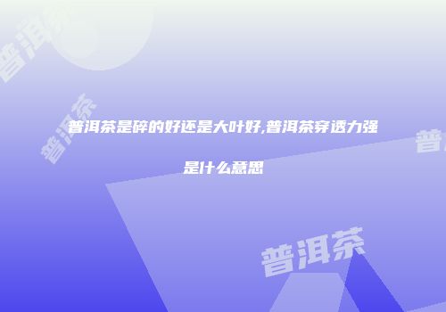普洱茶是碎的好还是大叶好,普洱茶穿透力强是什么意思
