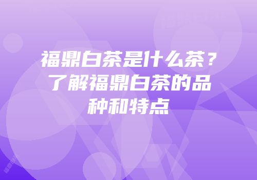 福鼎白茶是什么茶？了解福鼎白茶的品种和特点