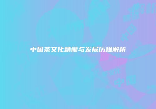 中国茶文化精髓与发展历程解析