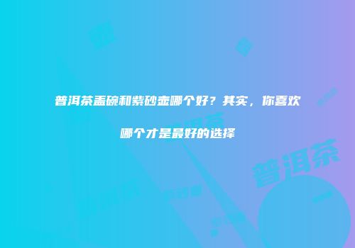 普洱茶盖碗和紫砂壶哪个好？其实，你喜欢哪个才是最好的选择