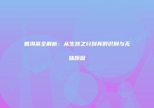 普洱茶全解析：从生熟之分到真假识别与无味原因
