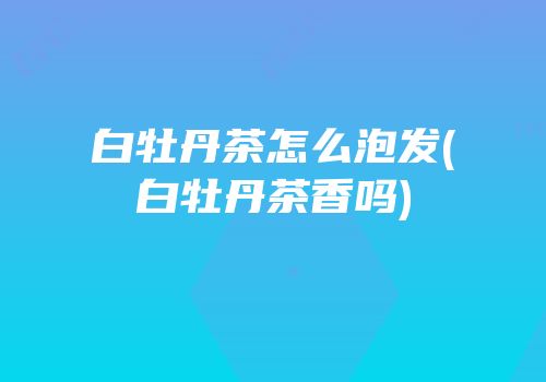白牡丹茶怎么泡发(白牡丹茶香吗)