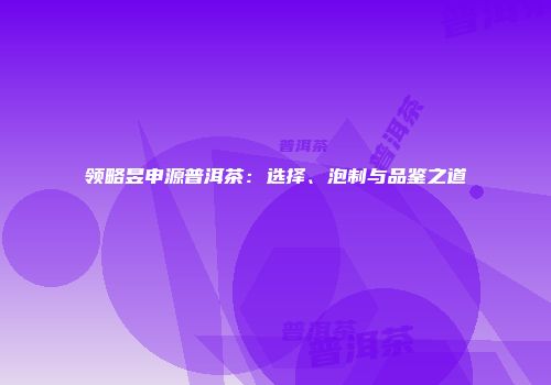 领略昱申源普洱茶：选择、泡制与品鉴之道
