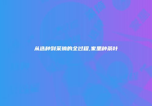 从选种到采摘的全过程,家里种茶叶