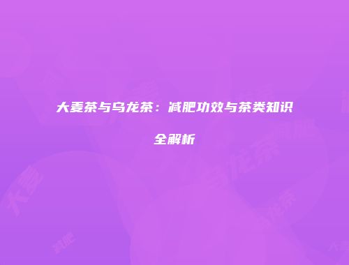 大麦茶与乌龙茶：减肥功效与茶类知识全解析
