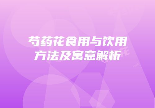 芍药花食用与饮用方法及寓意解析