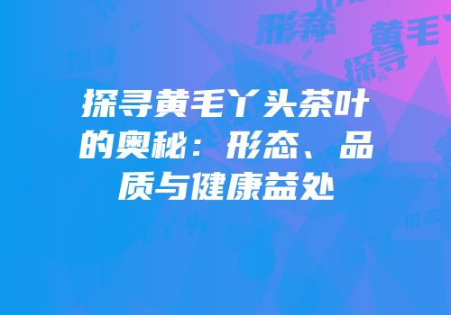 探寻黄毛丫头茶叶的奥秘：形态、品质与健康益处