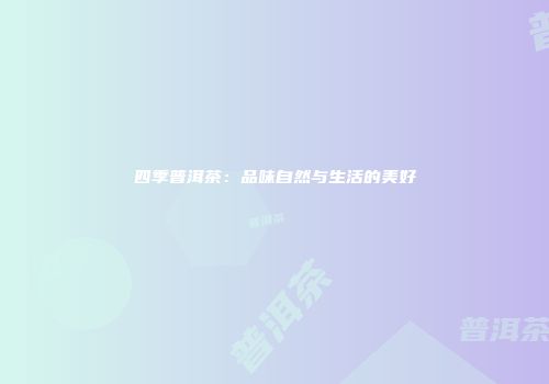 四季普洱茶：品味自然与生活的美好