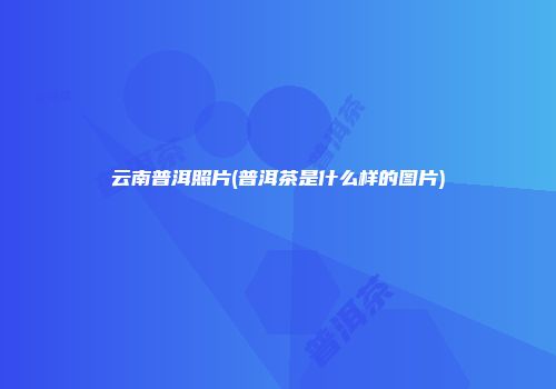 云南普洱照片(普洱茶是什么样的图片)