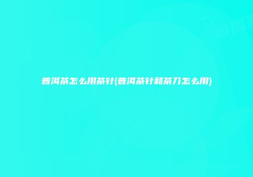 普洱茶怎么用茶针(普洱茶针和茶刀怎么用)