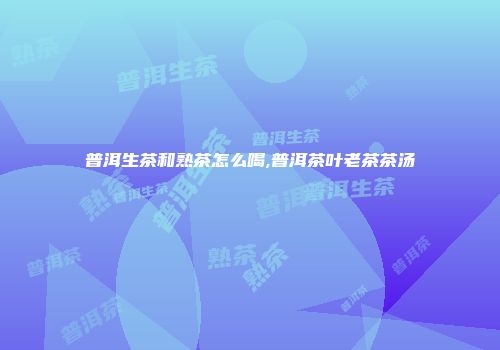 普洱生茶和熟茶怎么喝,普洱茶叶老茶茶汤