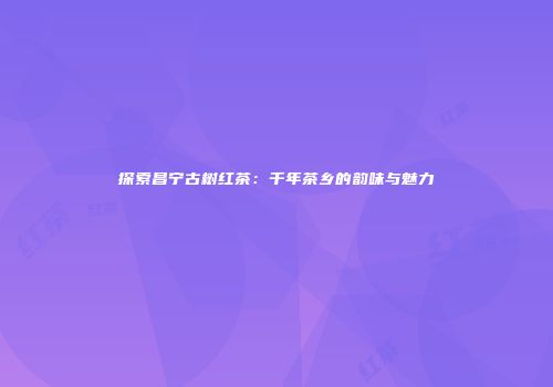 探索昌宁古树红茶：千年茶乡的韵味与魅力