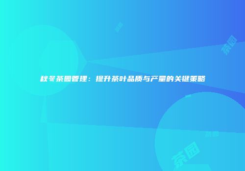 秋冬茶园管理：提升茶叶品质与产量的关键策略