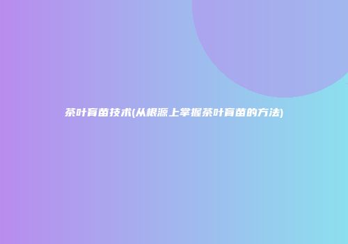 茶叶育苗技术(从根源上掌握茶叶育苗的方法)