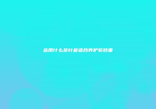 选用什么茶叶最适合养护紫砂壶