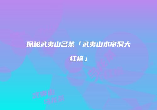 探秘武夷山名茶「武夷山水帘洞大红袍」
