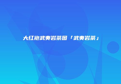 大红袍武夷岩茶图「武夷岩茶」