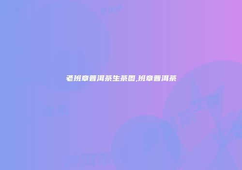 老班章普洱茶生茶图,班章普洱茶