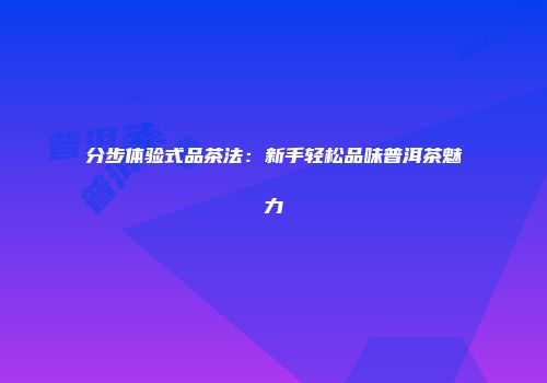 分步体验式品茶法：新手轻松品味普洱茶魅力