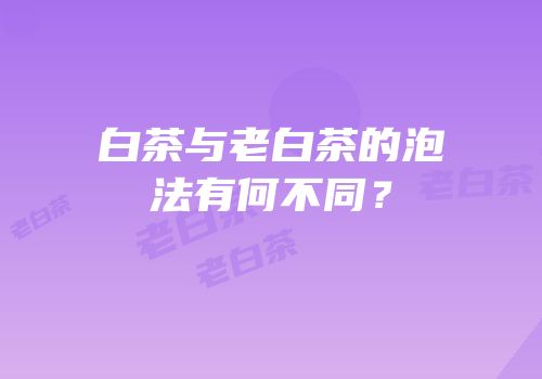 白茶与老白茶的泡法有何不同？