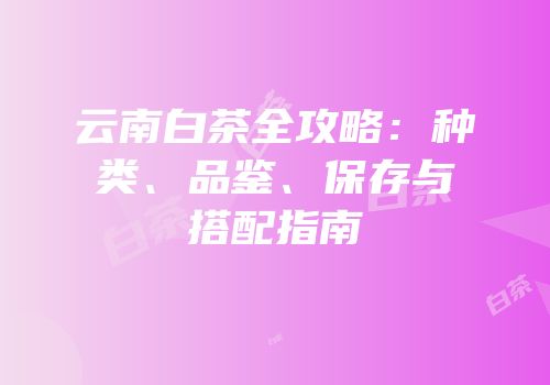 云南白茶全攻略：种类、品鉴、保存与搭配指南