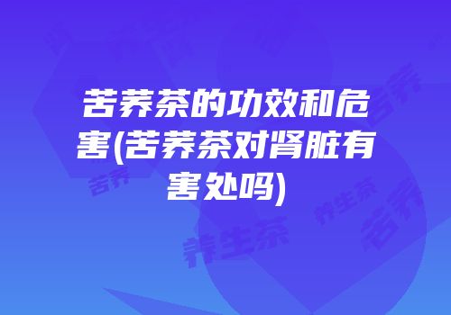 苦荞茶的功效和危害(苦荞茶对肾脏有害处吗)