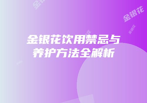 金银花饮用禁忌与养护方法全解析