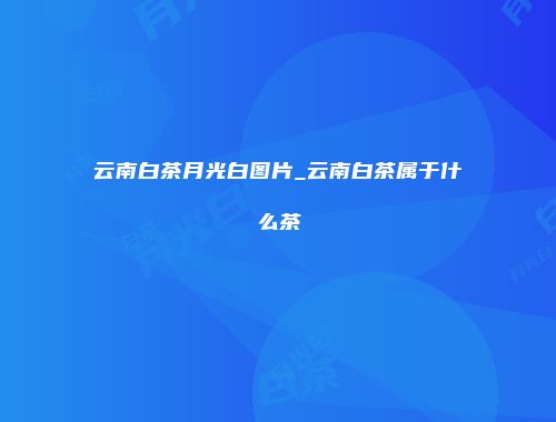 云南白茶月光白图片_云南白茶属于什么茶