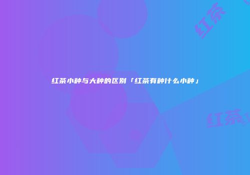 红茶小种与大种的区别「红茶有种什么小种」