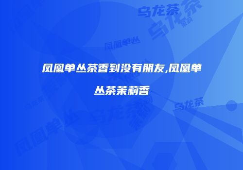凤凰单丛茶香到没有朋友,凤凰单丛茶茉莉香