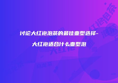 讨论大红袍泡茶的最佳壶型选择-大红袍适合什么壶型泡