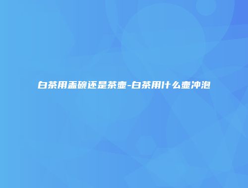 白茶用盖碗还是茶壶-白茶用什么壶冲泡