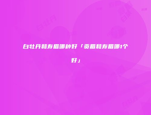 白牡丹和寿眉哪种好「贡眉和寿眉哪1个好」