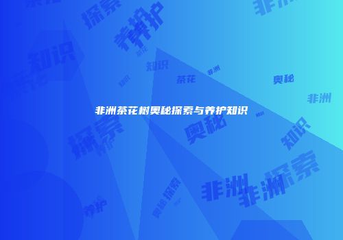 非洲茶花树奥秘探索与养护知识