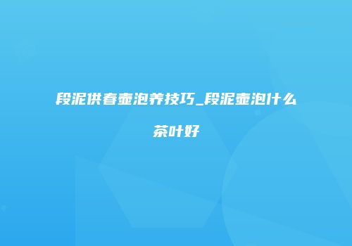 段泥供春壶泡养技巧_段泥壶泡什么茶叶好