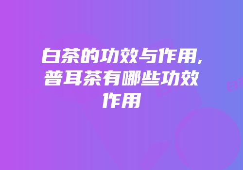 白茶的功效与作用,普耳茶有哪些功效作用