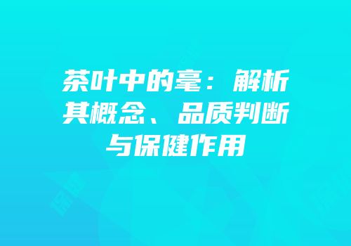 茶叶中的毫：解析其概念、品质判断与保健作用