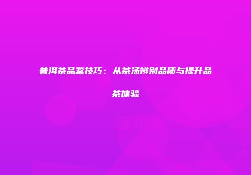 普洱茶品鉴技巧：从茶汤辨别品质与提升品茶体验