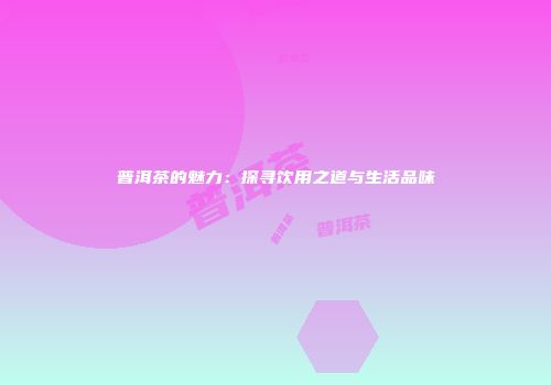 普洱茶的魅力：探寻饮用之道与生活品味
