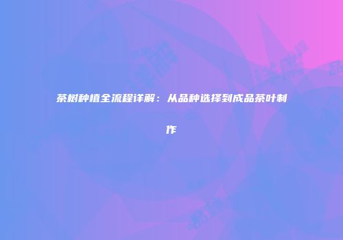茶树种植全流程详解：从品种选择到成品茶叶制作