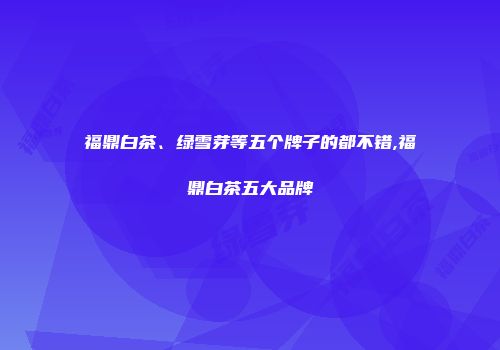 福鼎白茶、绿雪芽等五个牌子的都不错,福鼎白茶五大品牌