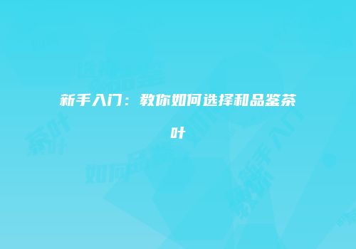 新手入门：教你如何选择和品鉴茶叶