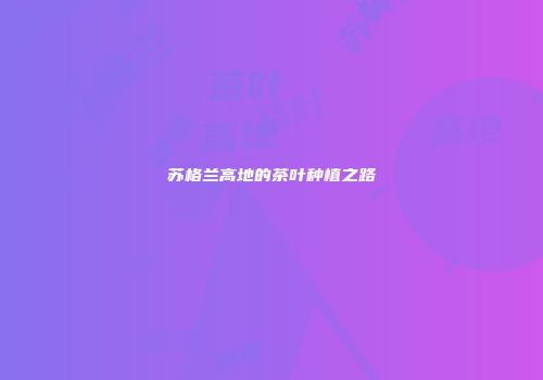 苏格兰高地的茶叶种植之路