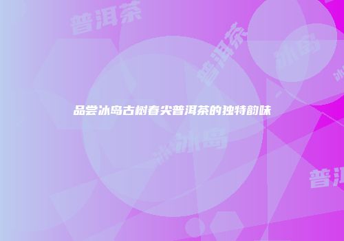 品尝冰岛古树春尖普洱茶的独特韵味