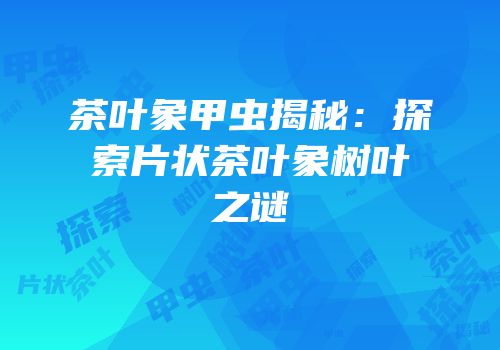 茶叶象甲虫揭秘：探索片状茶叶象树叶之谜