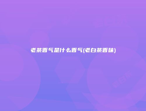 老茶香气是什么香气(老白茶香味)