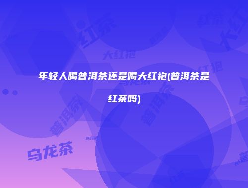 年轻人喝普洱茶还是喝大红袍(普洱茶是红茶吗)