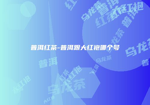 普洱红茶-普洱跟大红袍哪个号