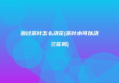泡过茶叶怎么浇花(茶叶水可以浇兰花吗)